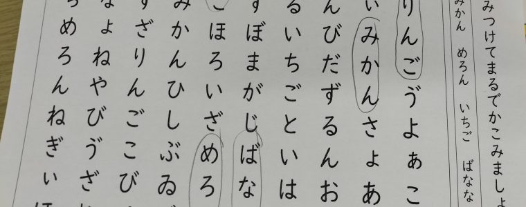 ビジョントレーニング&クリーン活動