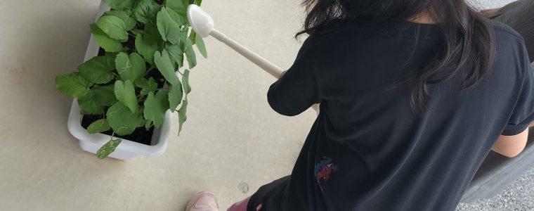 会社ごっこ