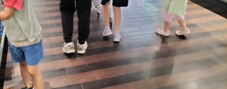 買い物学習