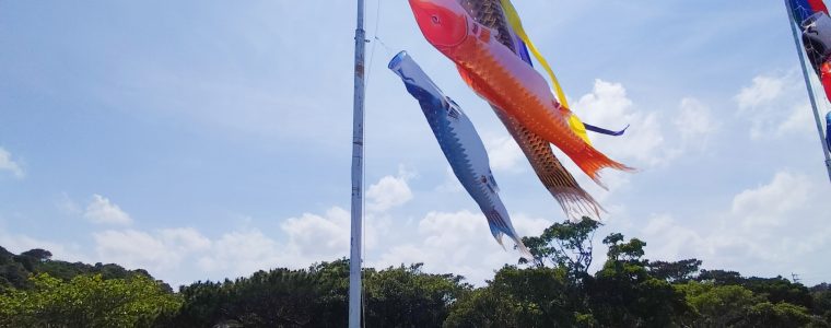 こいのぼり見学